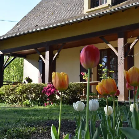 Bed & Breakfast 'les Cometes'