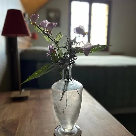 Bed & Breakfast 'les Comètes'
