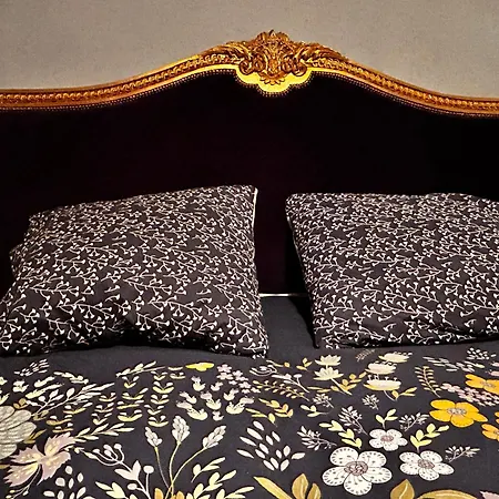 'les Cometes' * Lacaujamet