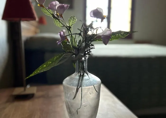 Bed & Breakfast 'les Cometes'