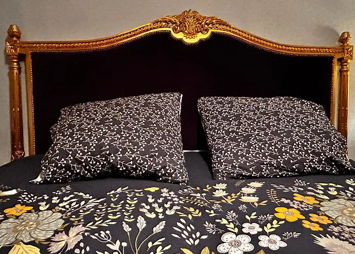 'les Cometes' * Lacaujamet